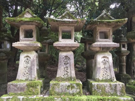 kasuga-shrine-3-lants